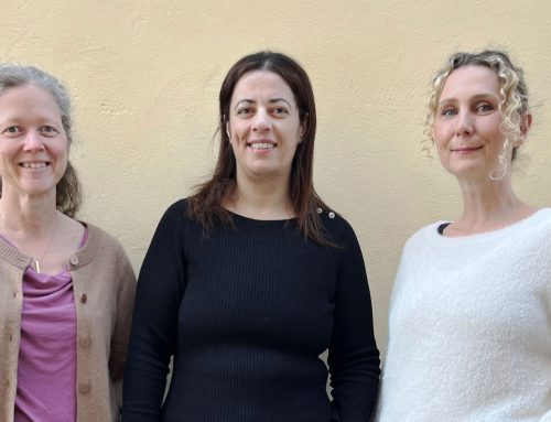 Så kan lek bli språkutvecklande på förskolan