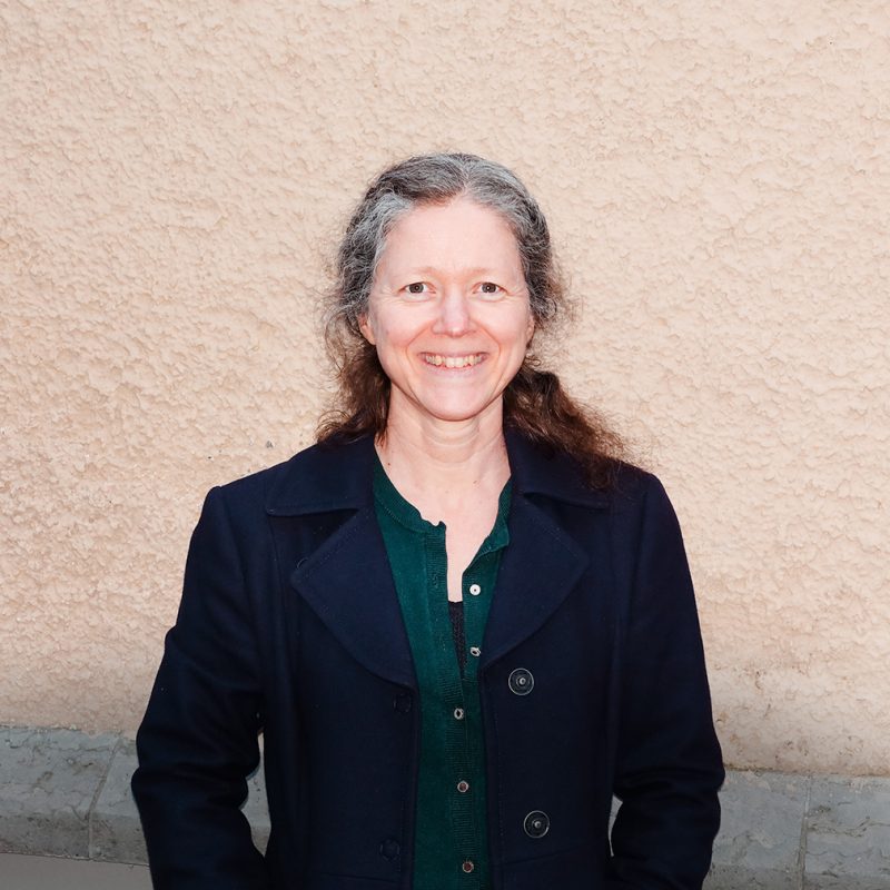 Cecilia Wallerstedt, professor vid Institutionen för pedagogik, kommunikation och lärande vid Göteborgs universitet