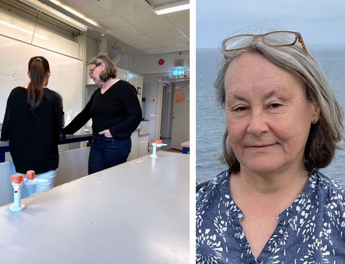 Läraren om källkritik: Så kan elever bedöma påståenden utan att vara experter